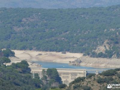 Pinares de Navas del Rey; parque natural rio lobos sierra de tejeda almijara y alhama sierra del cad